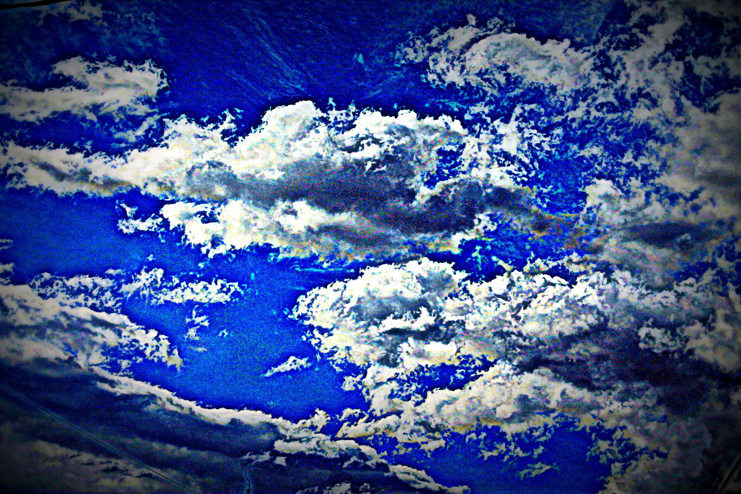 IMG_3167 CC Copy.JPG