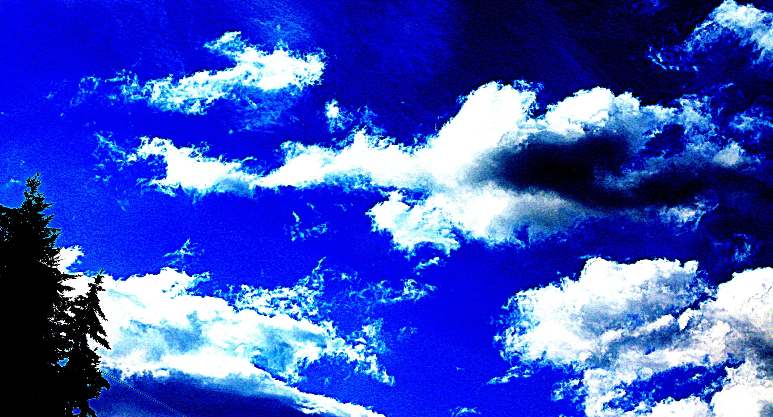 IMG_3170 - C_3087 - Copy.JPG