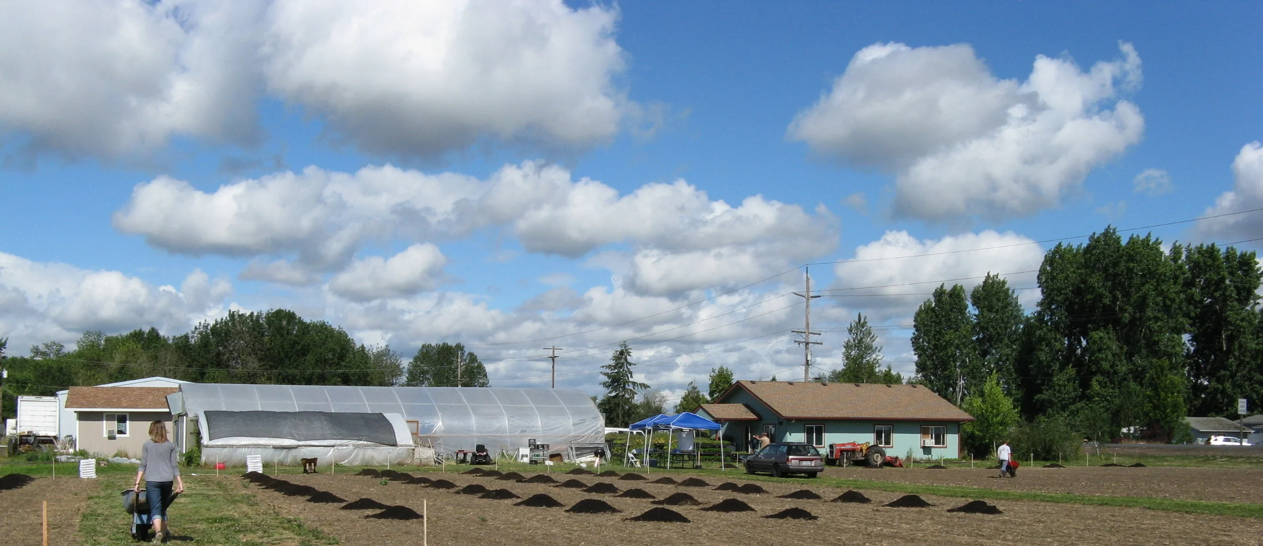 IMG_0147-001 - Copy.JPG