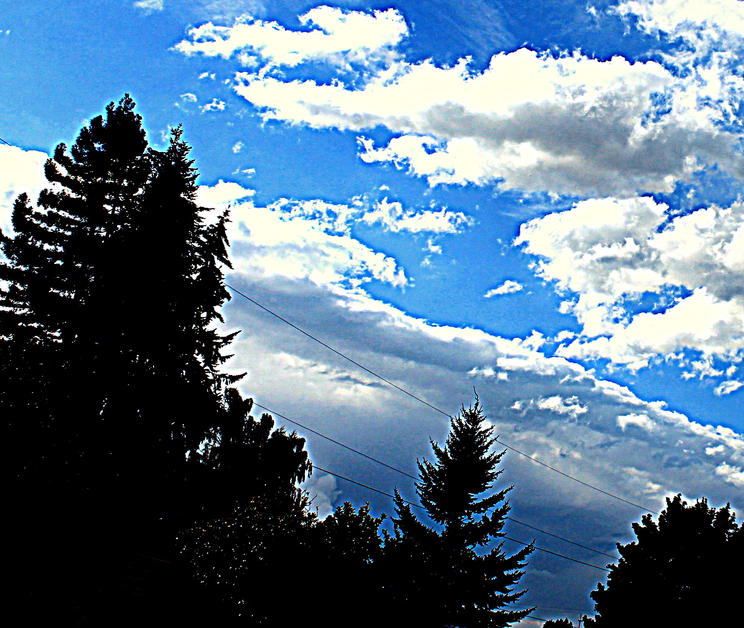 _3087 - C - Copy.JPG