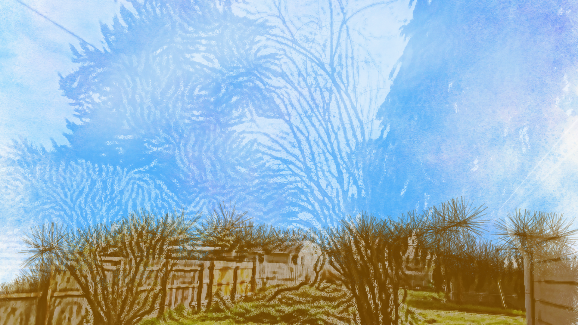 Npic_art-scr_#30648__2018-05-31 - Copy.png