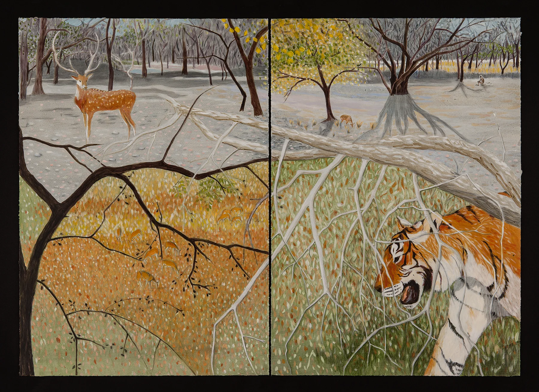  Ranthambore tiger (Acrylic on paper 27" x 37") 