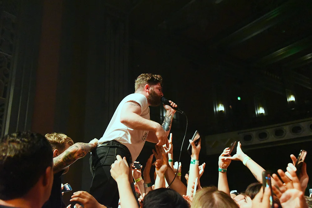 foals1.jpg