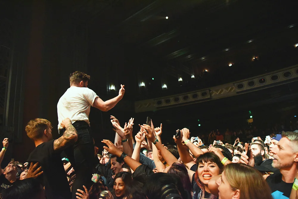 foals3.jpg