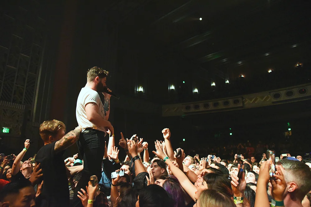 foals4.jpg