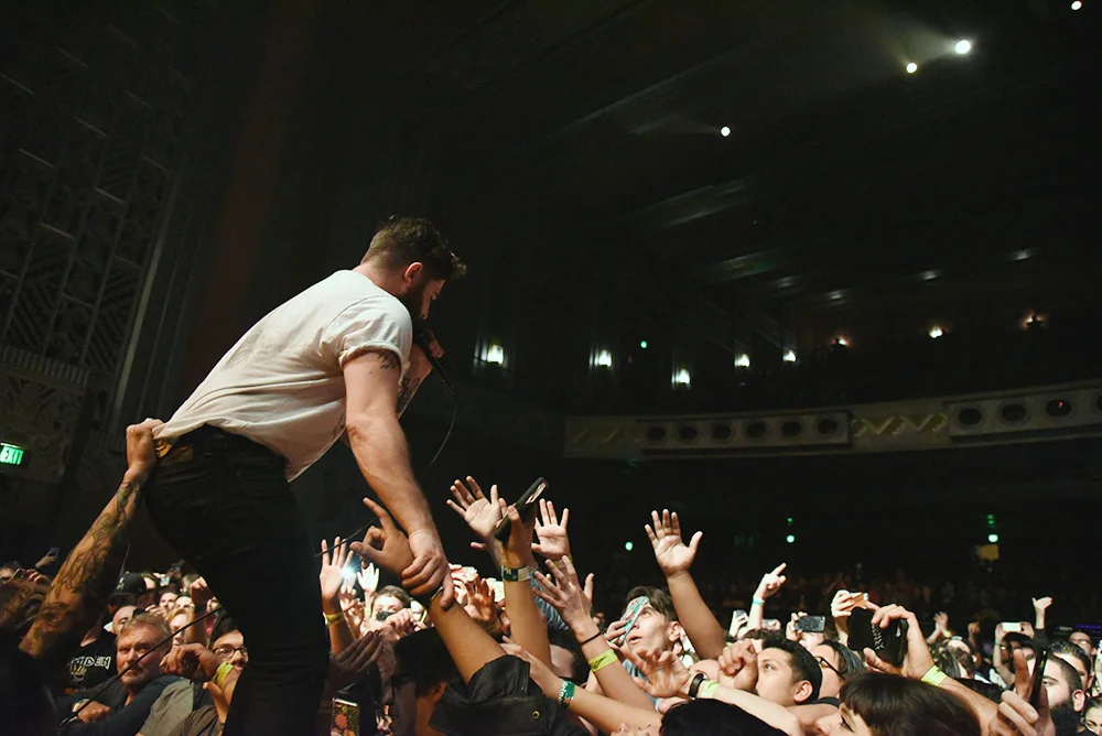 foals6.jpg