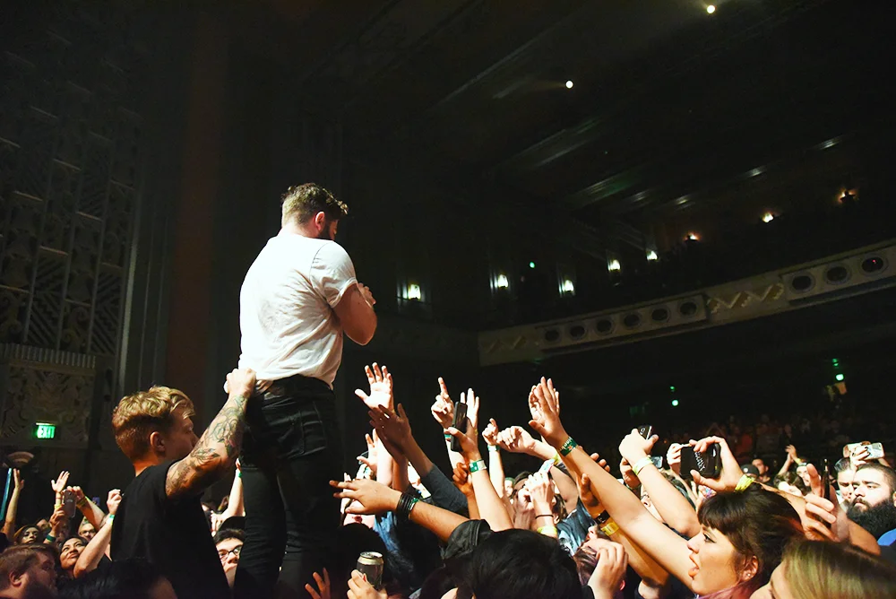foals5.jpg