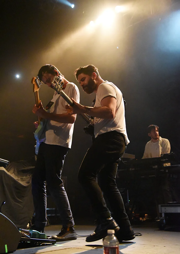 foals8.jpg