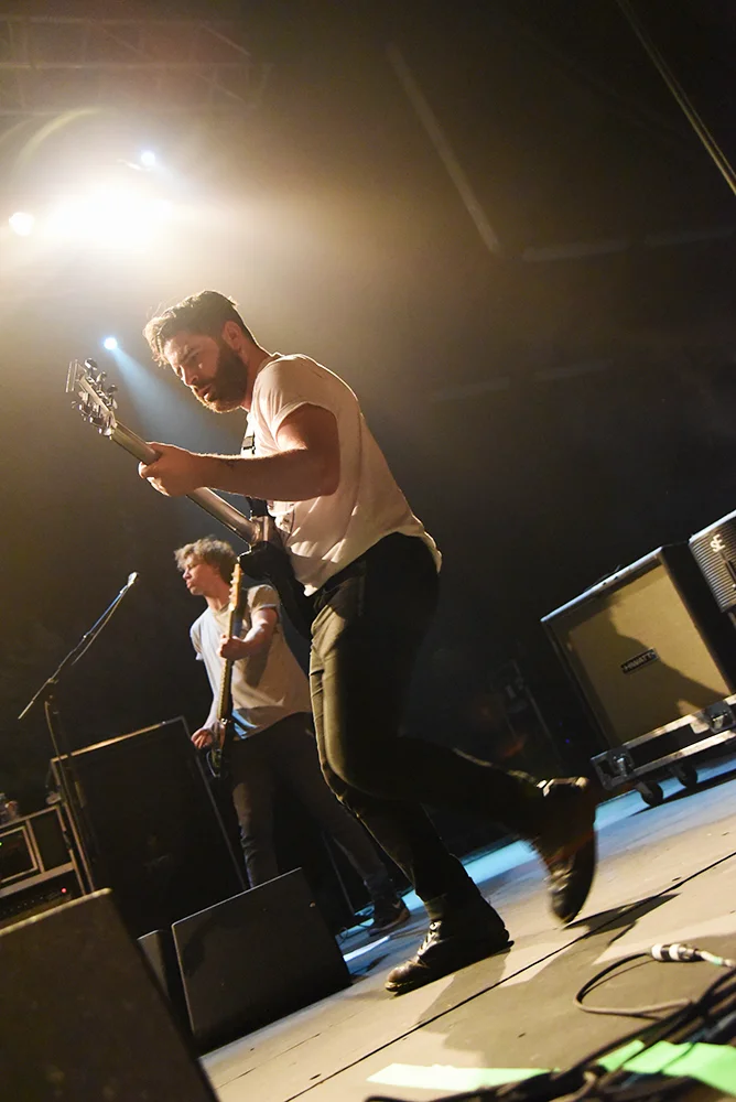 foals9.jpg