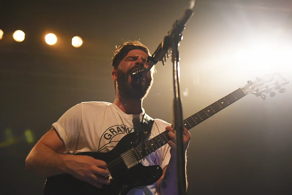 foals11.jpg