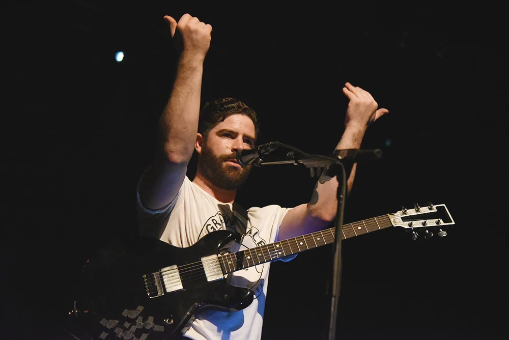 foals13.jpg
