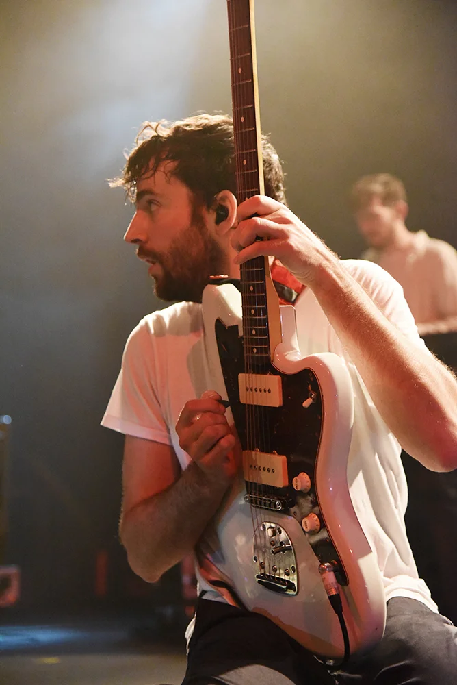 foals16.jpg