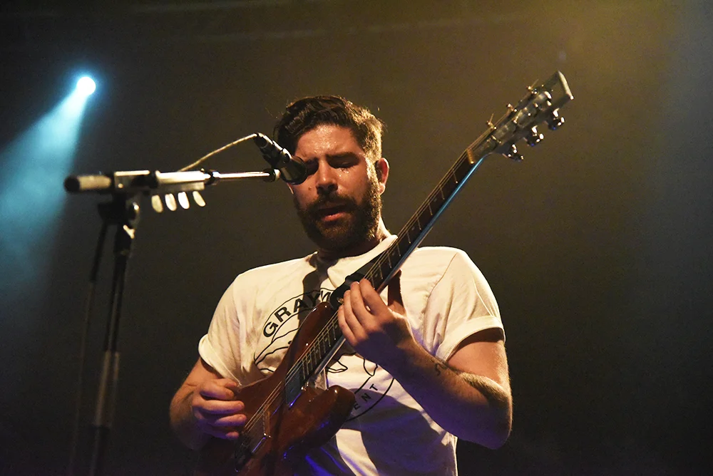 foals17.jpg