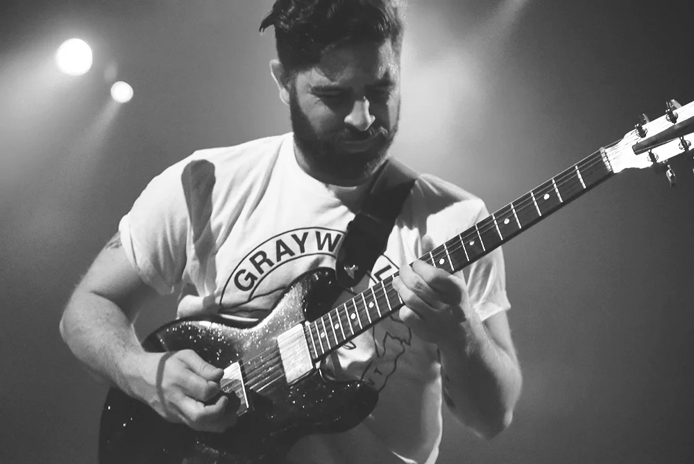 foals19.jpg