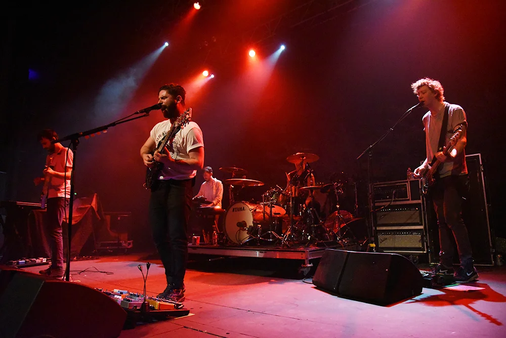 foals18.jpg