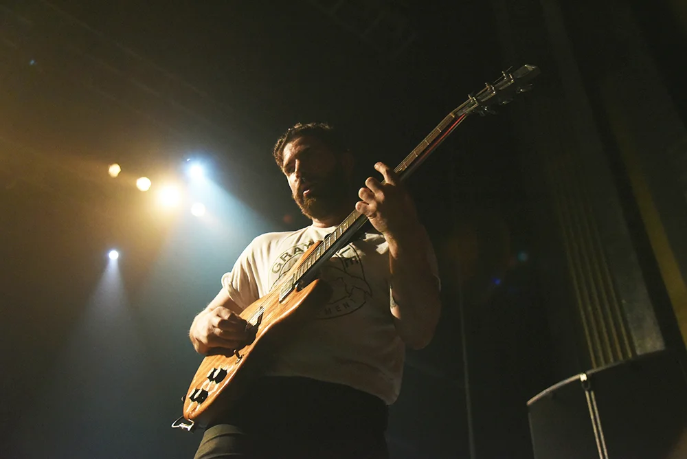 foals21.jpg