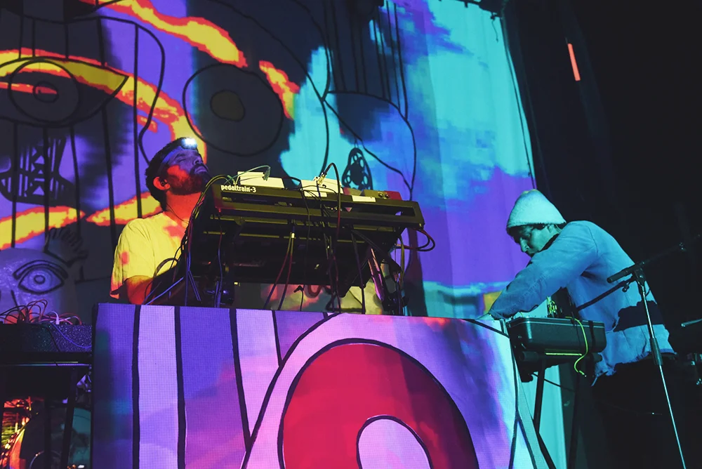AnimalCollective12.jpg