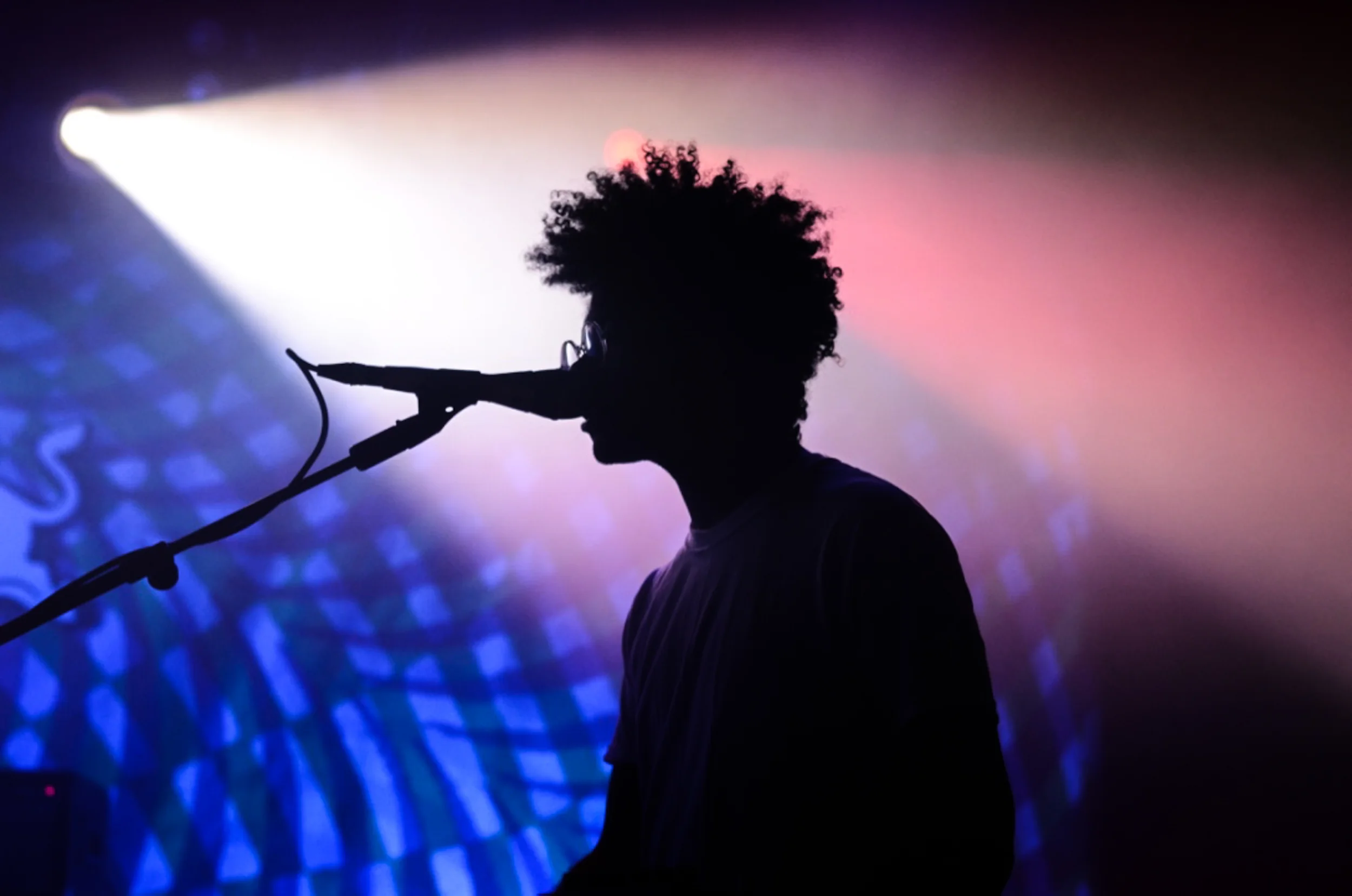 ToroYMoi44.jpg