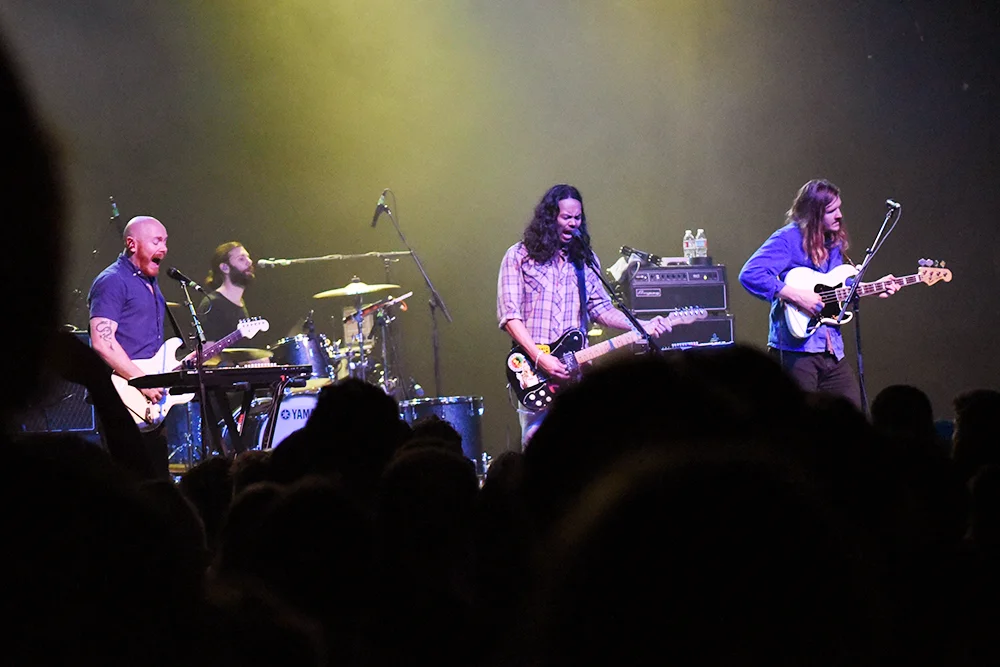 TheTemperTrap18.jpg