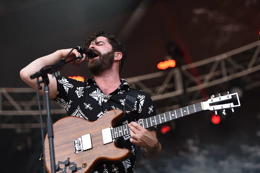 FOALS1.jpg