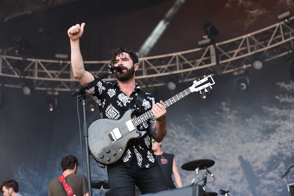 FOALS3.jpg