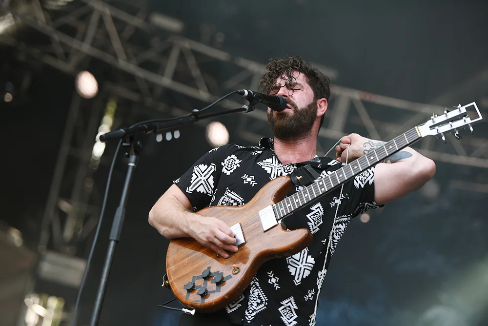 FOALS28.jpg