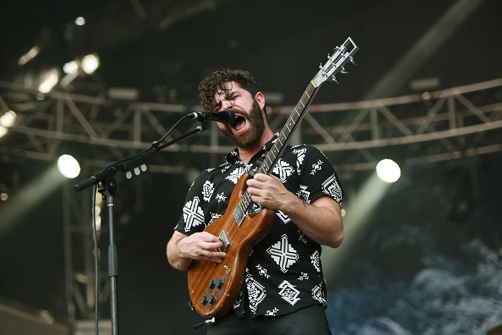 FOALS29.jpg
