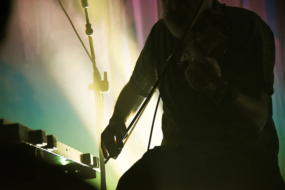 TheAlbumLeaf12.jpg