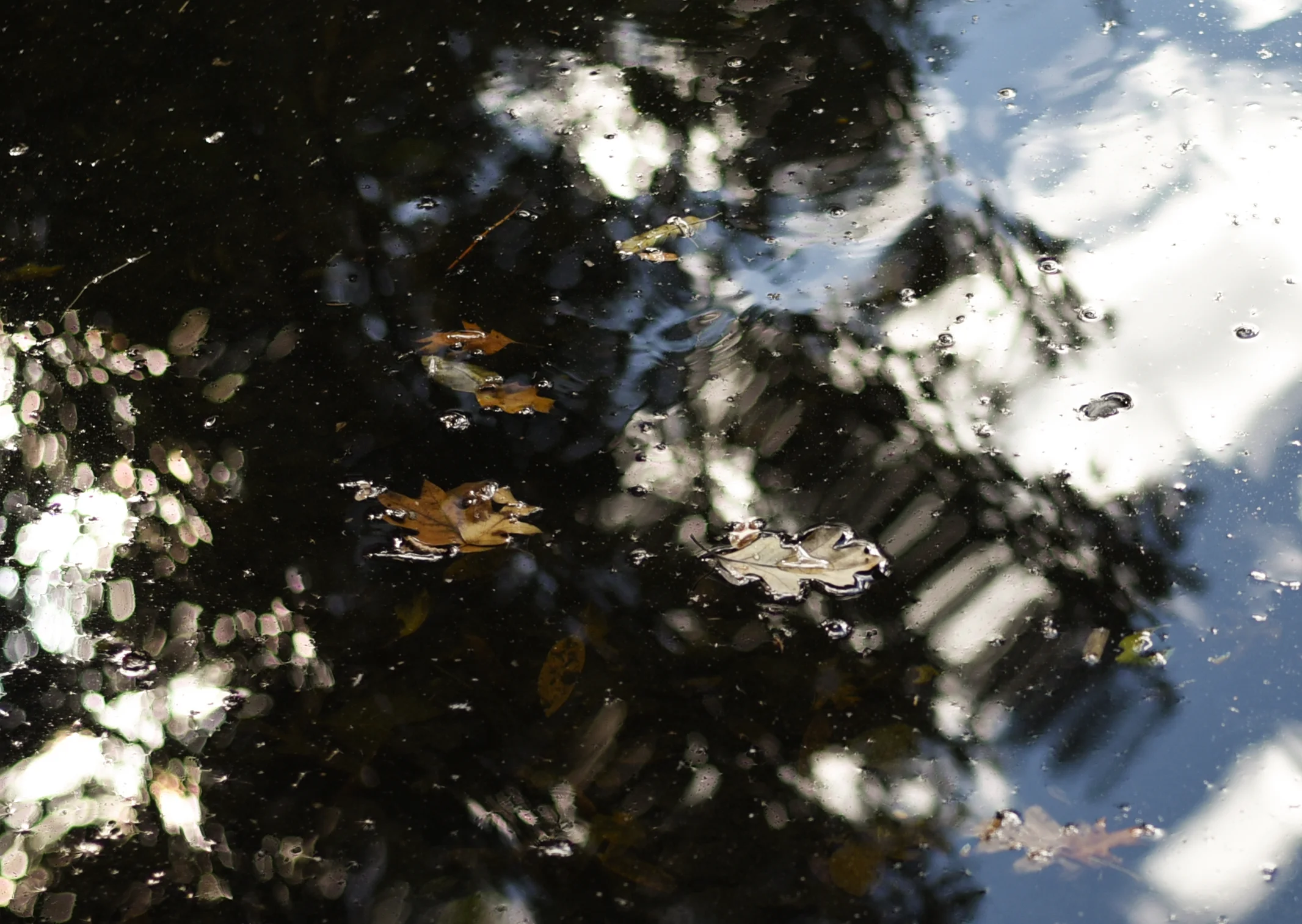 lightroom2.jpg