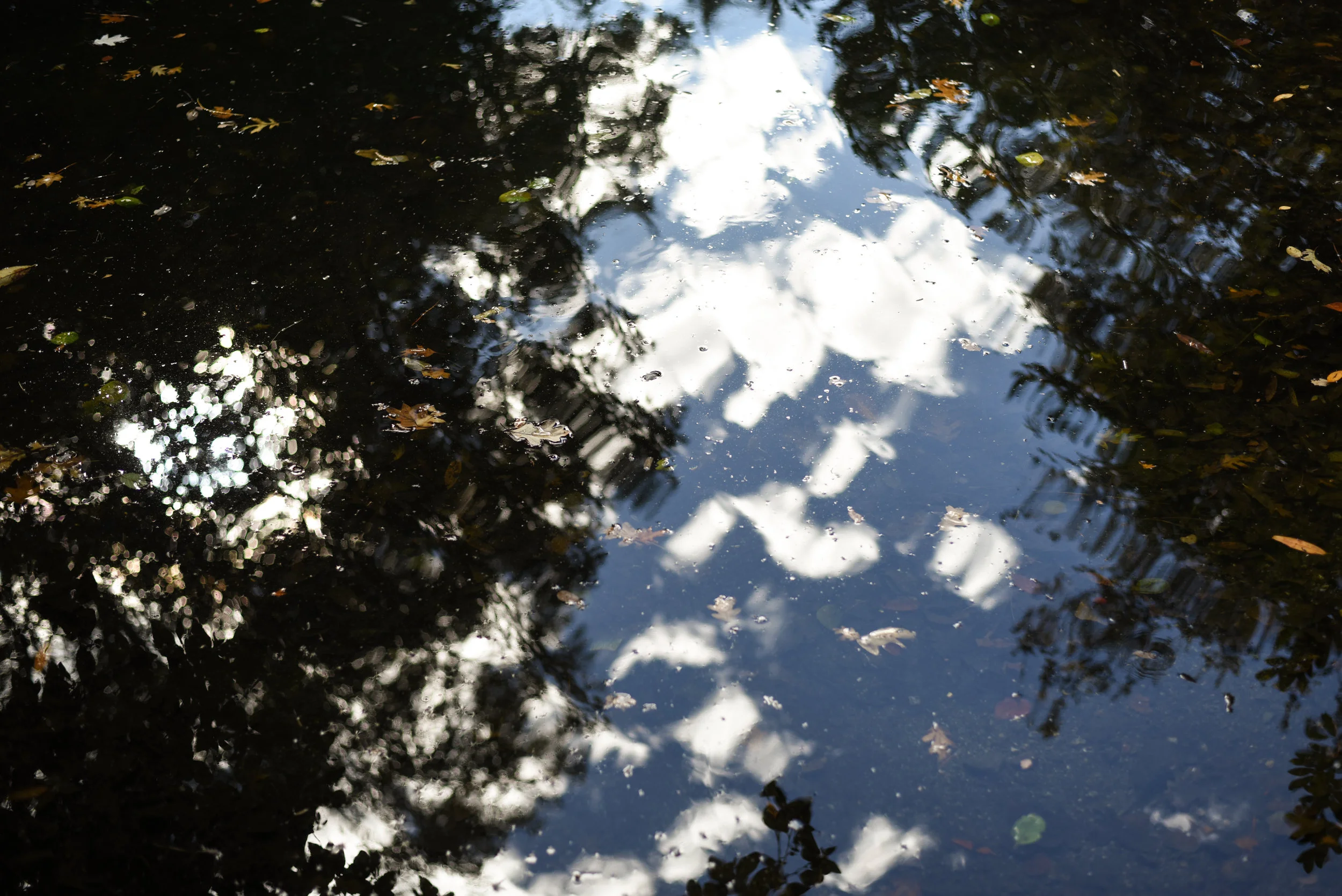 lightroom1.jpg