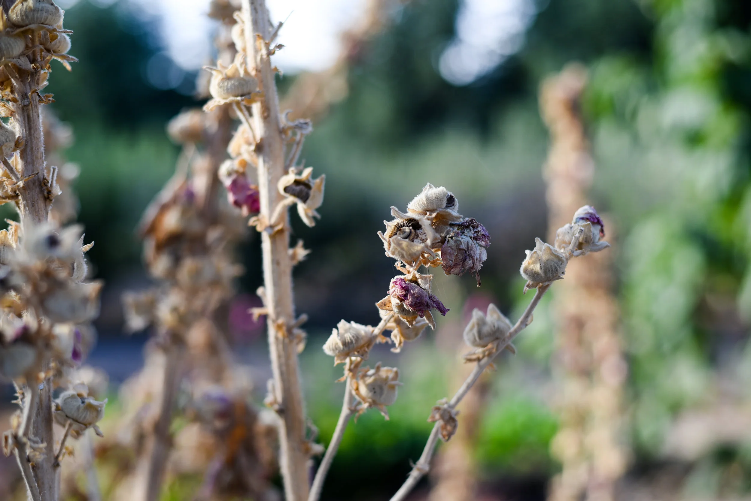 lightroom53.jpg