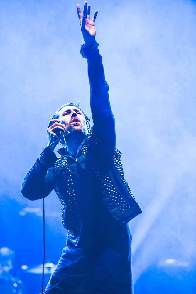 afi5.jpg