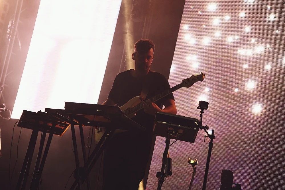 bonobo15.JPG