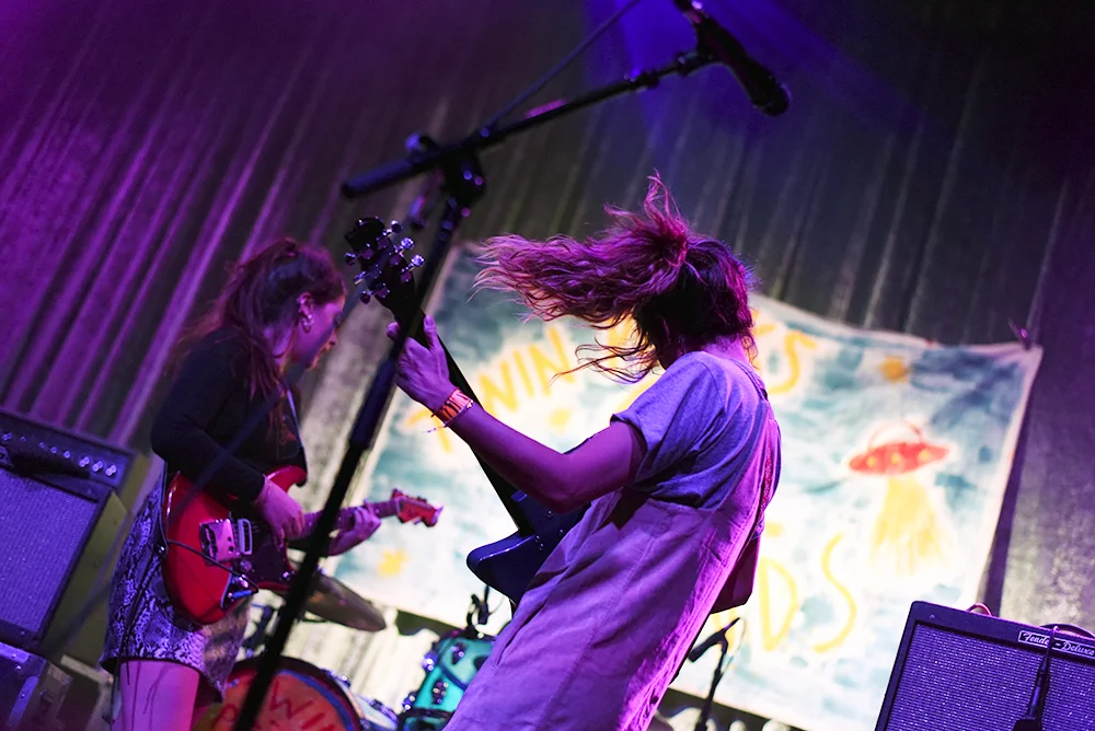 hinds4.jpg