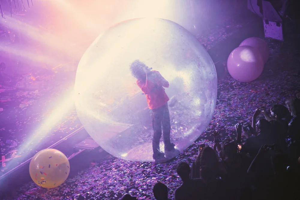 flaminglips19.JPG