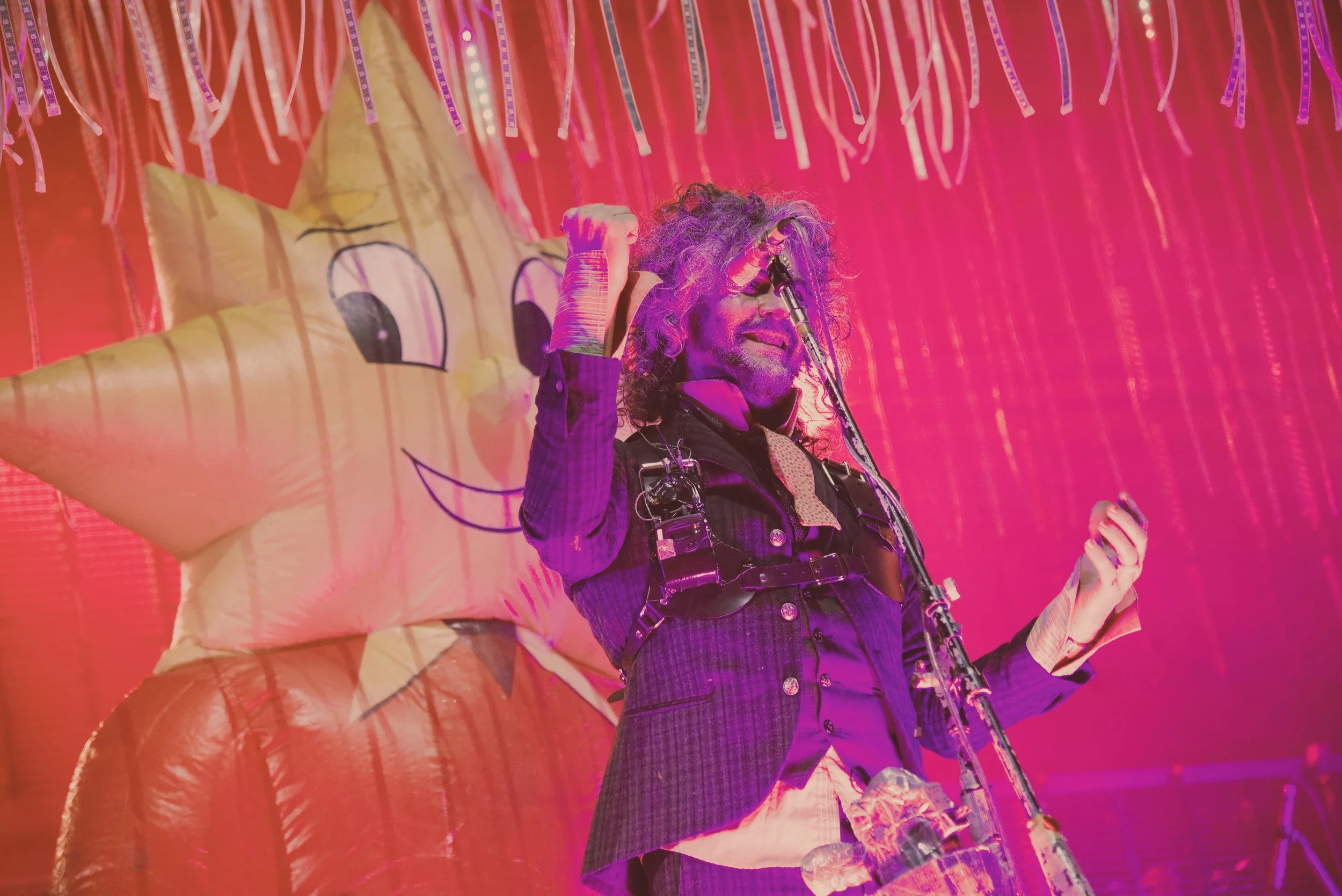 flaminglips8.JPG