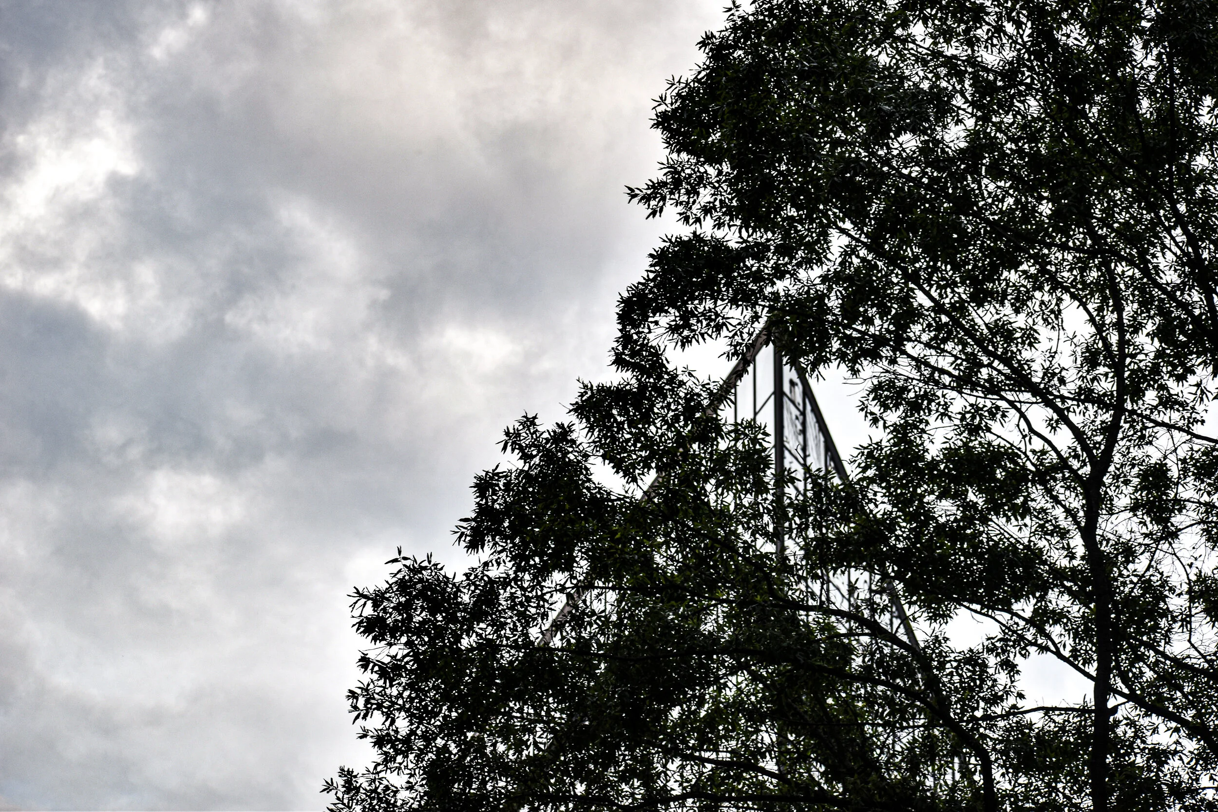 DSC_0290.jpg