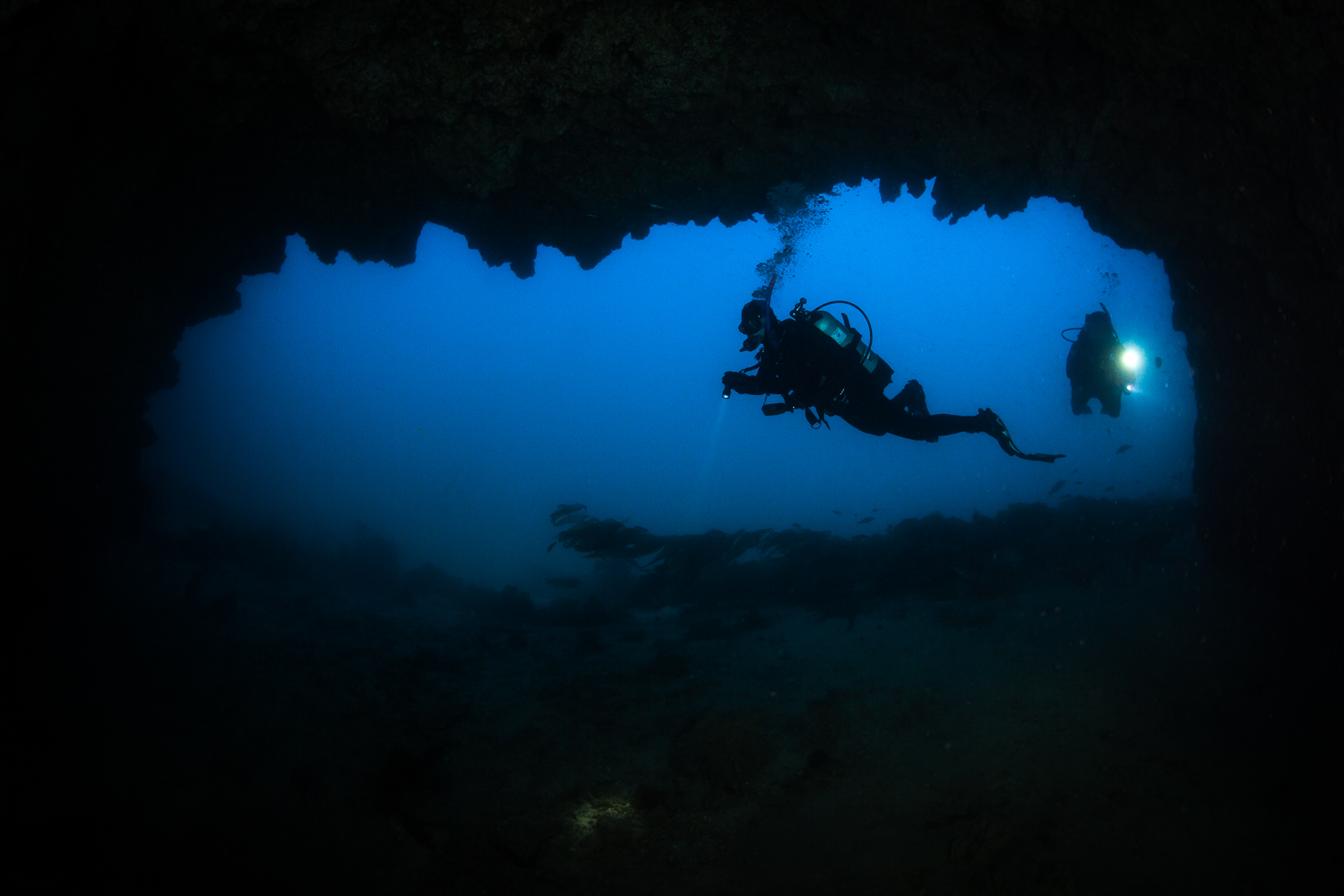 Divers at Blue Cavern, Santa Catalina Island, CA