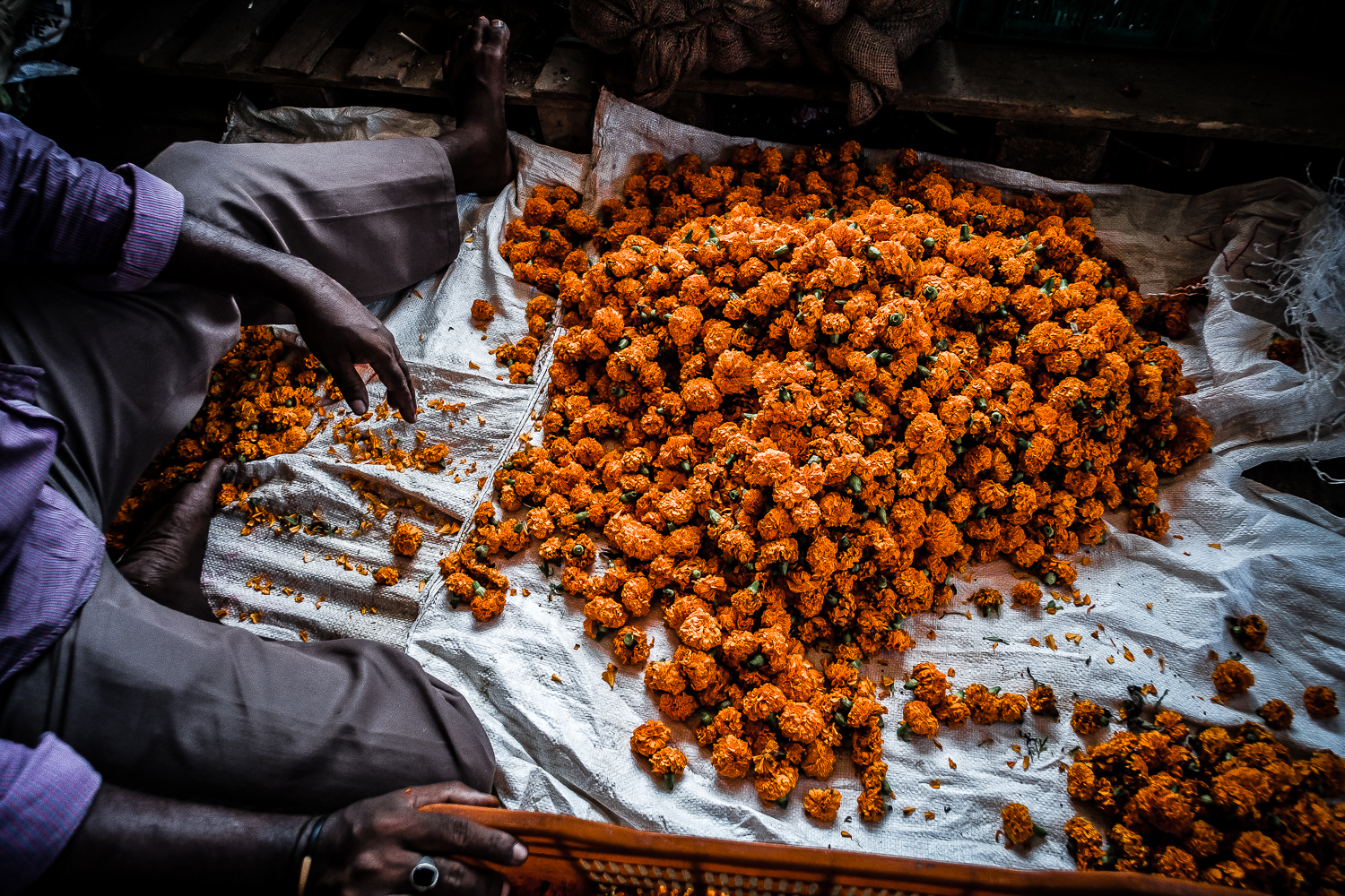 Flower Market, Aberdeen Bazaar, Andaman Island, India