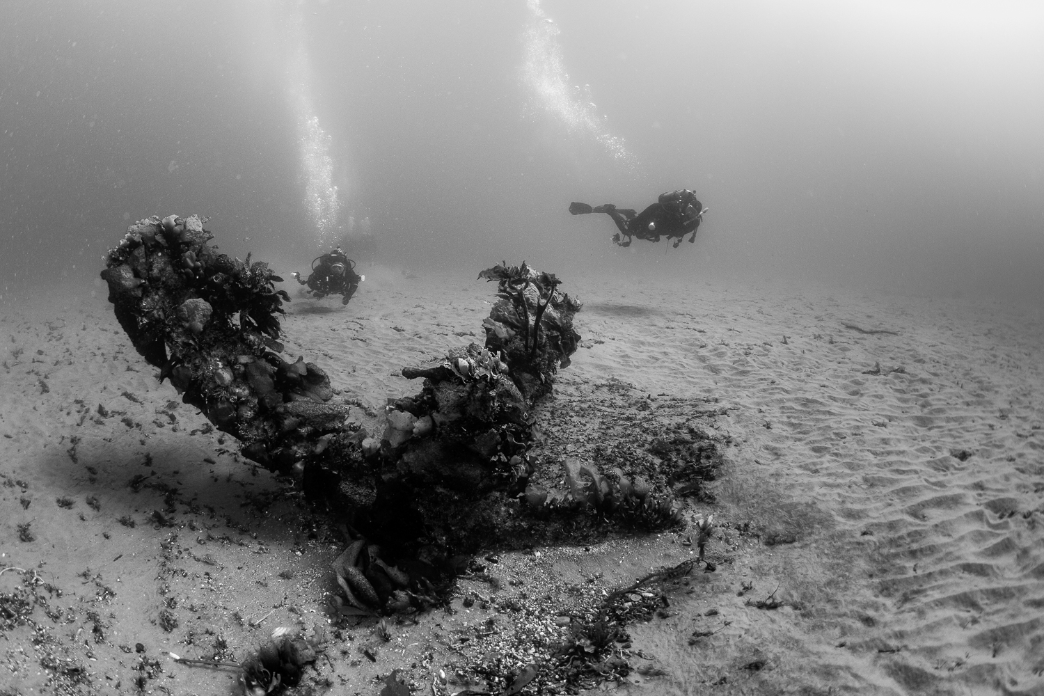 Wreckage of the Grumman Guardian, Santa Cruz Island, CA 