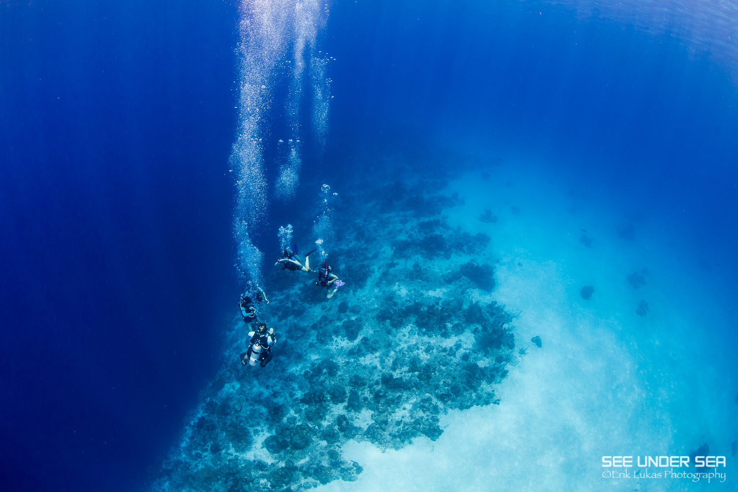 Divers hang at the crest of the reef. 20m depth on one side....1000m to the other. West Caicos, Turks & Caicos Islands.