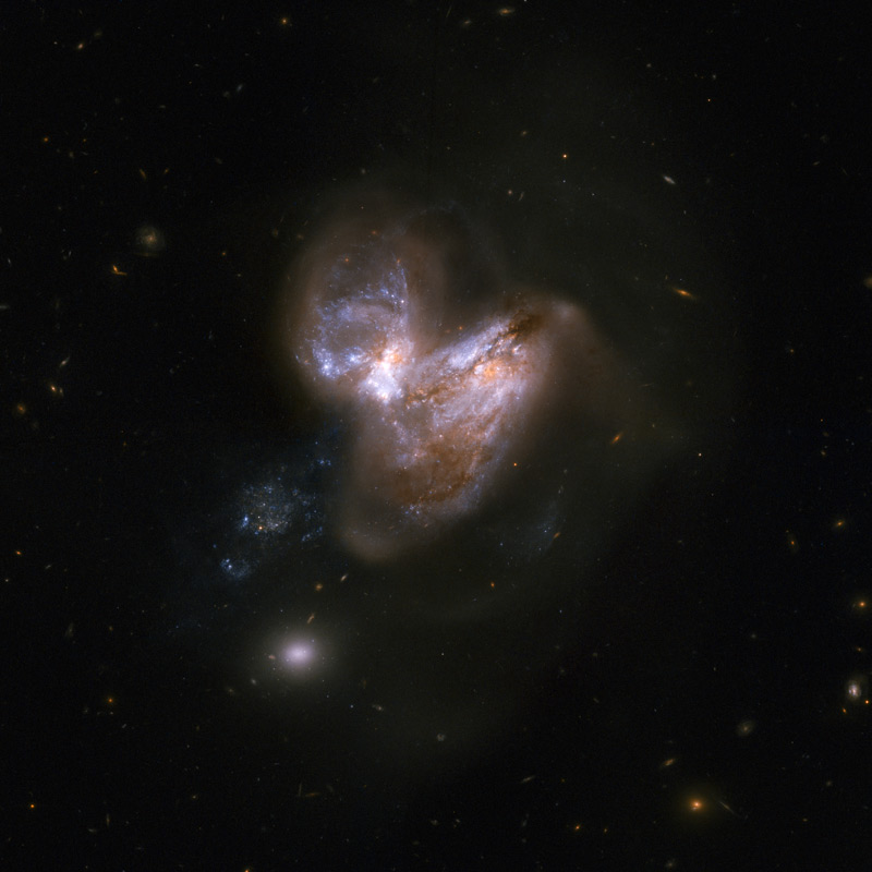 This system consists of a pair of galaxies, dubbed NGC 3690 (or Arp 299), which made a close pass some 700 million years ago. As a result of this interaction, the system underwent a fierce burst of star formation. In the last fifteen years or so six supernovae have popped off in the outer reaches of the galaxy, making this system a distinguished supernova factory. Credit: NASA, ESA, the Hubble Heritage (STScI/AURA)-ESA/Hubble Collaboration, and A. Evans (University of Virginia, Charlottesville/NRAO/Stony Brook University)