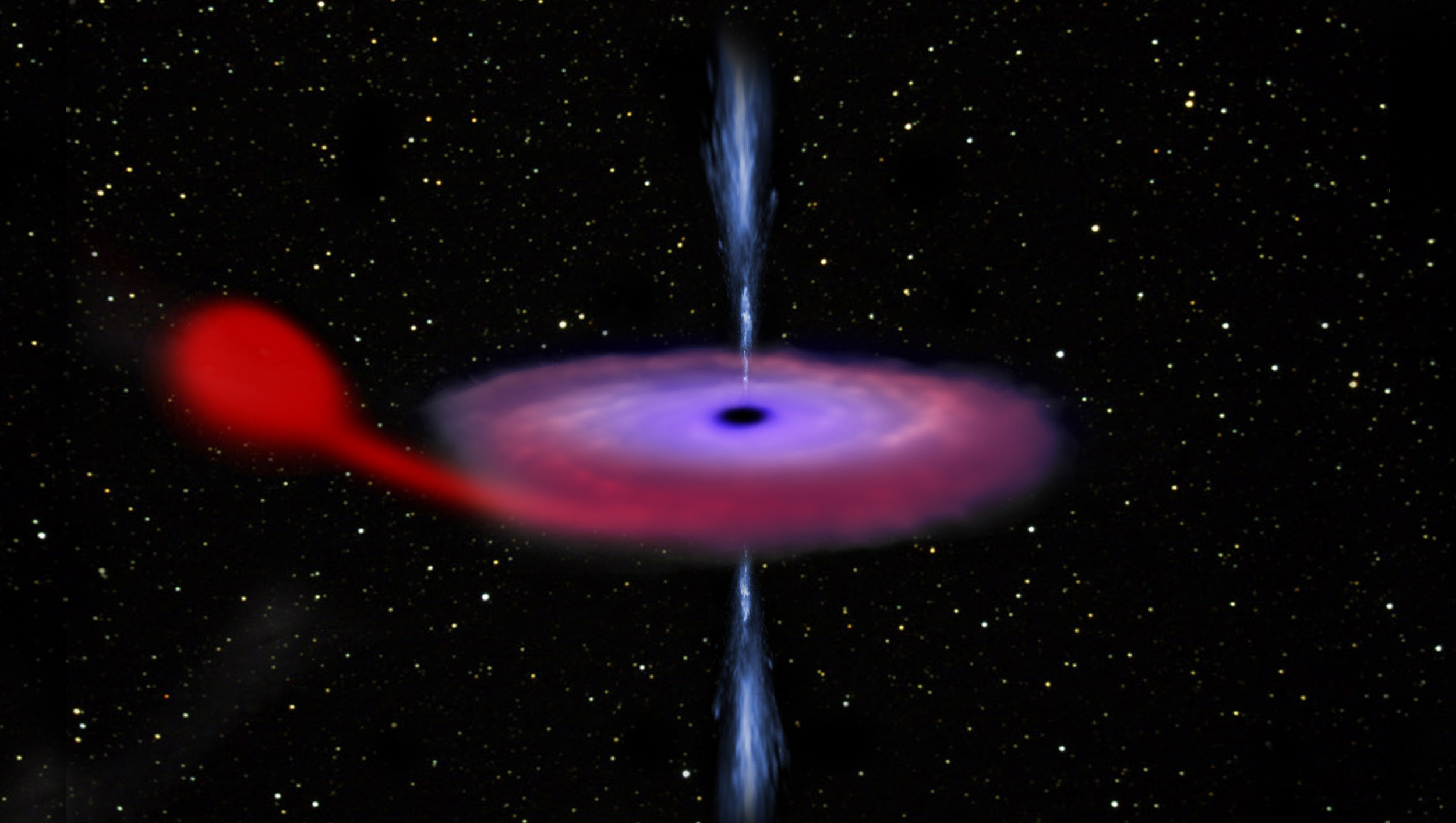 Artist’s impression of a black hole feasting on matter from its companion star in a binary system. Material flows from the star towards the black hole and gathers in a disc, where it is heated up, shining brightly at optical, ultraviolet and X-ray wavelengths before spiralling into the black hole. Part of the disc material does not end up onto the black hole but is ejected the form of two powerful jets of particles. On 15 June 2015, the black-hole binary system V404 Cygni started showing signs of extraordinary activity, something that had not happened since 1989. The system consists of a black hole about twelve times more massive than the Sun and a companion star about half as massive as the Sun. The renewed activity is likely caused by material slowly piling up in the disc, until eventually reaching a tipping point that dramatically changes the black hole’s feeding routine for a short period. Since the first signs of such unusual activity, astronomers worldwide have been observing this exceptional system with ground-based telescopes and space-based observatories, monitoring the source at many different wavelengths across the electromagnetic spectrum. Image credit: ESA/ATG medialab