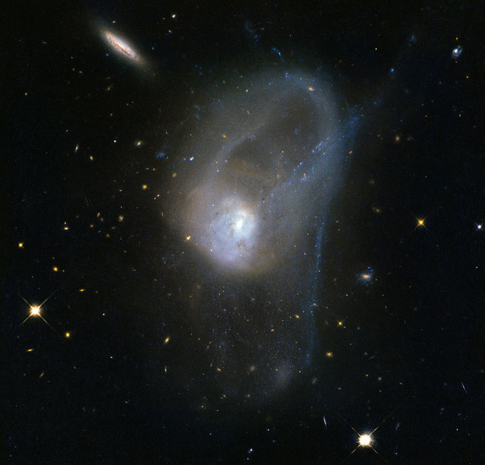 It is known today that merging galaxies play a large role in the evolution of galaxies and the formation of elliptical galaxies in particular. However there are only a few merging systems close enough to be observed in depth. The pair of interacting galaxies picture seen here — known as NGC 3921 — is one of these systems. NGC 3921 — found in the constellation of Ursa Major (The Great Bear) — is an interacting pair of disc galaxies in the late stages of its merger. Observations show that both of the galaxies involved were about the same mass and collided about 700 million years ago. You can see clearly in this image the disturbed morphology, tails and loops characteristic of a post-merger. The clash of galaxies caused a rush of star formation and previous Hubble observations showed over 1000 bright, young star clusters bursting to life at the heart of the galaxy pair. Image credit: ESA/Hubble & NASA