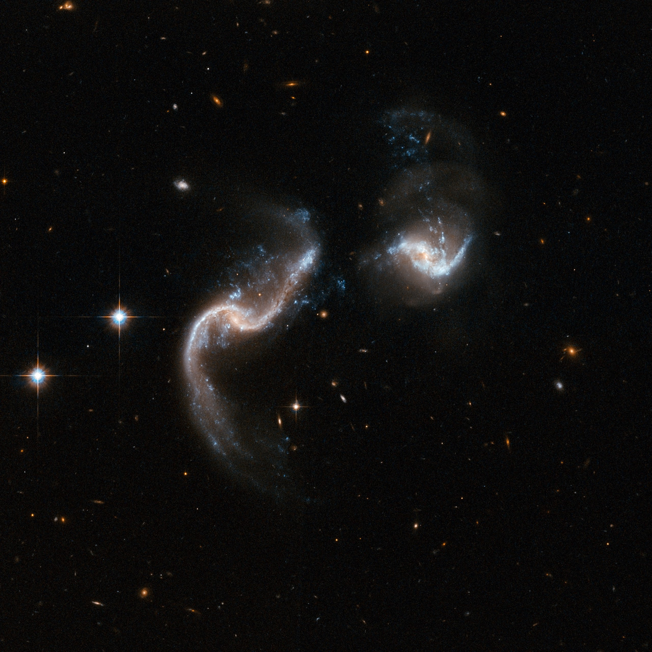 Arp 256 is a stunning system of two spiral galaxies in an early stage of merging. The Hubble image displays two galaxies with strongly disrupted shapes and an astonishing number of blue knots of star formation that look like exploding fireworks. The galaxy to the left has two extended ribbon-like tails of gas, dust and stars. The system is a luminous infrared system radiating more than a hundred billion times the luminosity of our Sun. Image Credit: NASA, ESA, the Hubble Heritage (STScI/AURA)-ESA/Hubble Collaboration, A. Evans (University of Virginia, Charlottesville/NRAO/Stony Brook University), and G. Ostlin (Stockholm University)