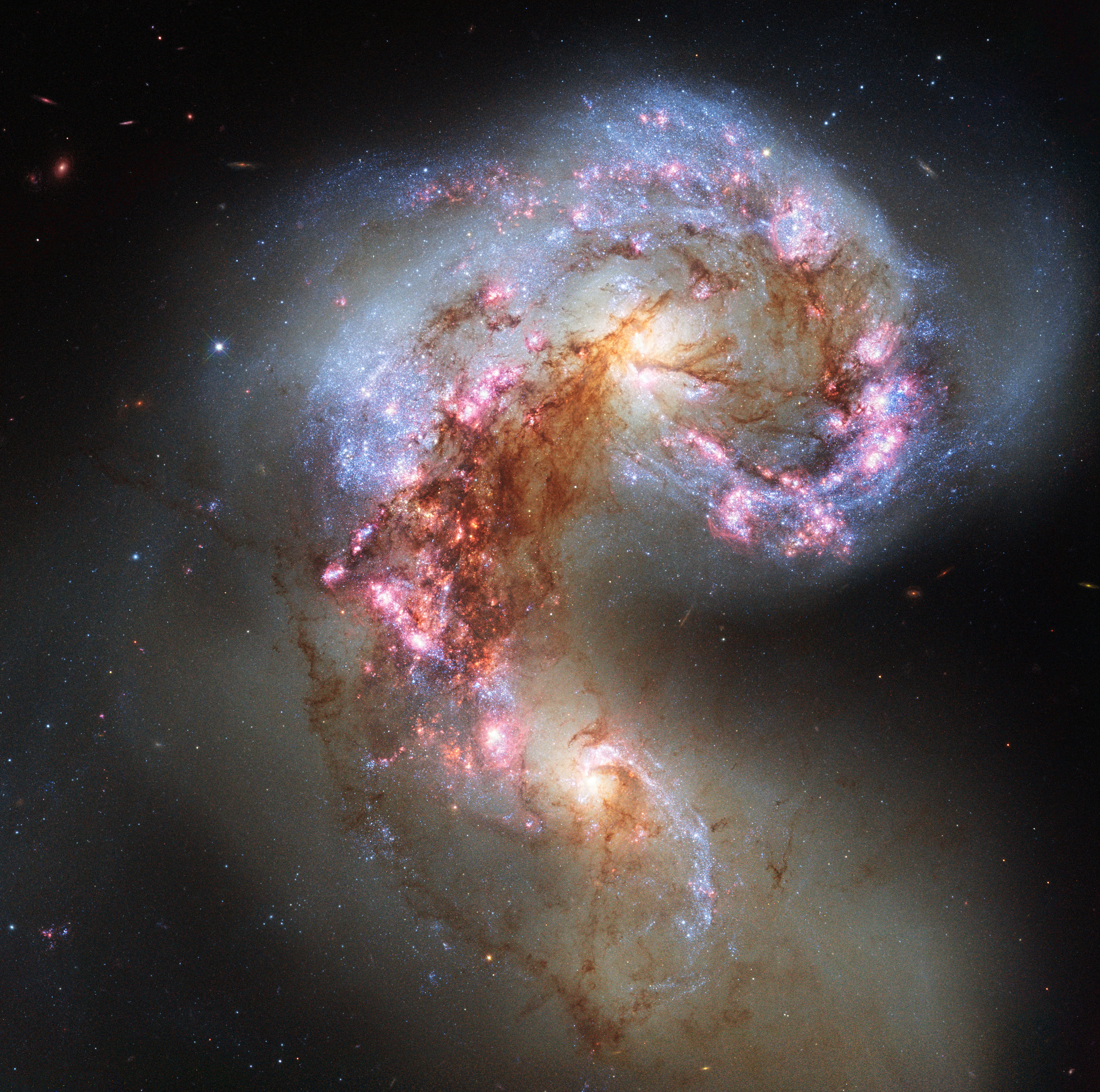 The NASA/ESA Hubble Space Telescope has snapped the best ever image of the Antennae Galaxies. The galaxies — also known as NGC 4038 and NGC 4039 — are locked in a deadly embrace. Once normal, sedate spiral galaxies like the Milky Way, the pair have spent the past few hundred million years sparring with one another. This clash is so violent that stars have been ripped from their host galaxies to form a streaming arc between the two. Image credit: ESA/Hubble
