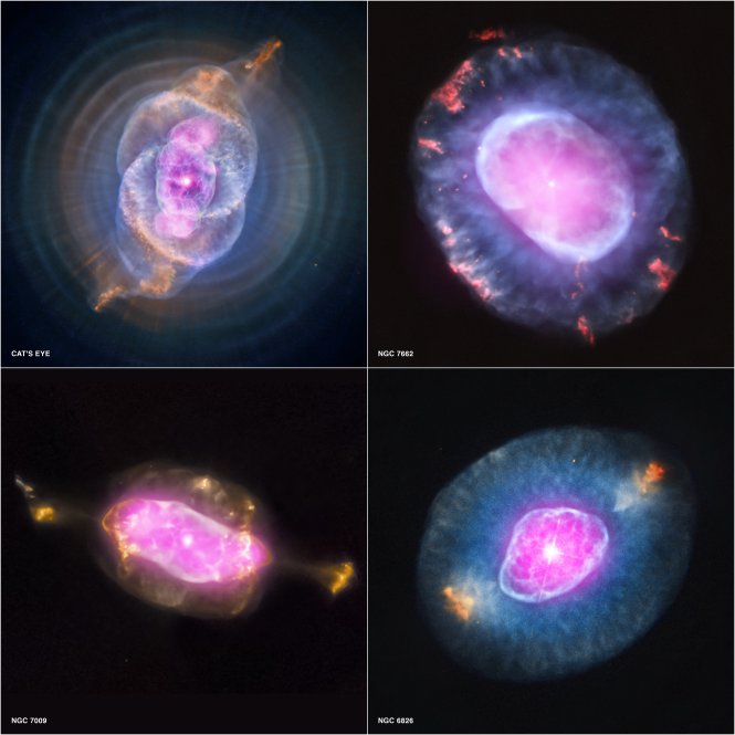This gallery shows four planetary nebulas from the first systematic survey of such objects in the solar neighborhood made with NASA's Chandra X-ray Observatory. The planetary nebulas shown here are NGC 6543, also known as the Cat's Eye, NGC 7662, NGC 7009 and NGC 6826. In each case, X-ray emission from Chandra is colored purple and optical emission from the Hubble Space Telescope is colored red, green and blue. Image credit: X-ray: NASA/CXC/RIT/J.Kastner et al.; Optical: NASA/STScI