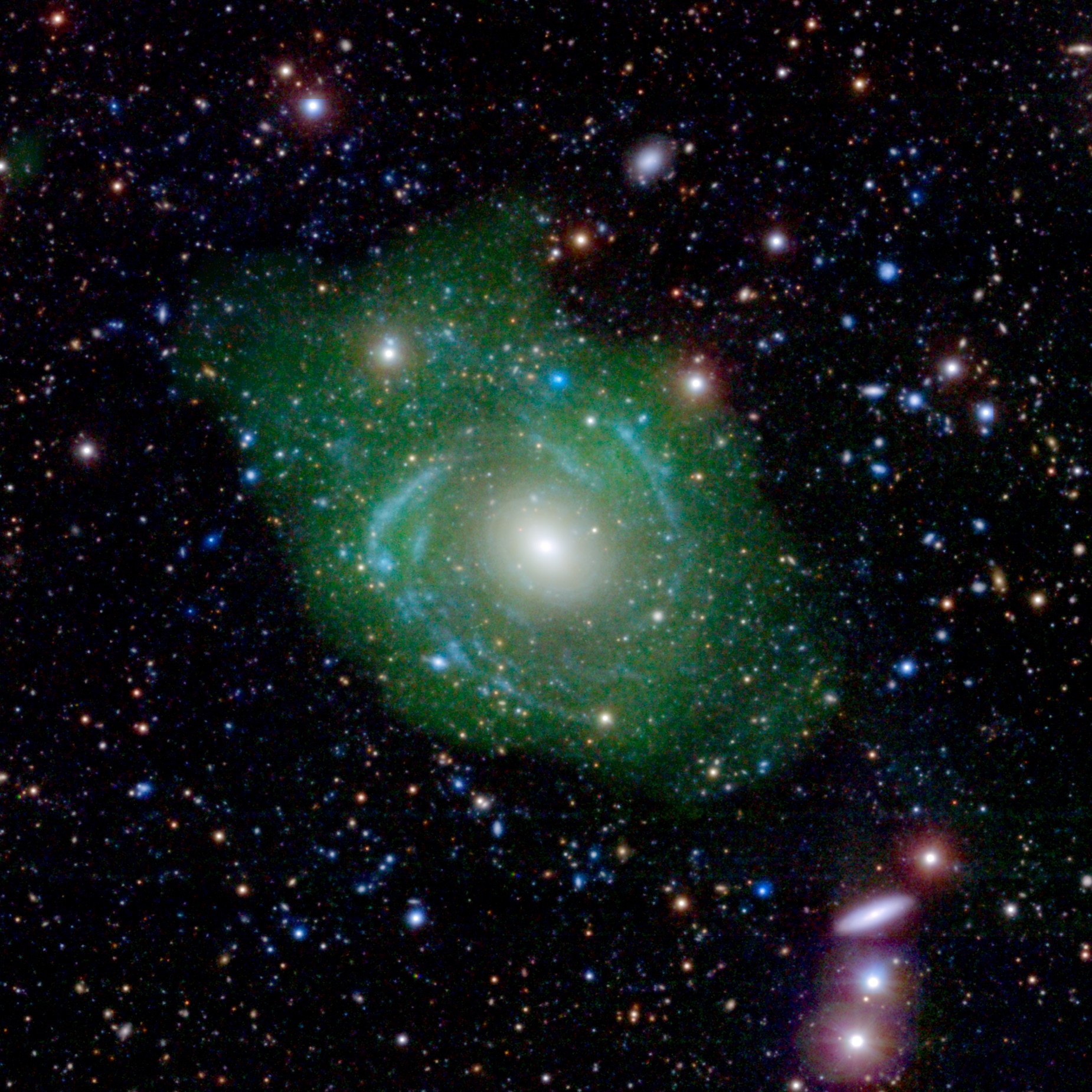 UGC 1382 appeared to be a simple elliptical galaxy, based on optical data from the Sloan Digital Sky Survey (SDSS). But spiral arms emerged when astronomers incorporated ultraviolet data from the Galaxy Evolution Explorer (GALEX). Combining that with a view of low-density hydrogen gas (shown in green), detected at radio wavelengths by the Very Large Array, scientists discovered that UGC 1382 is a giant. Image credit: NASA/JPL/Caltech/SDSS/NRAO