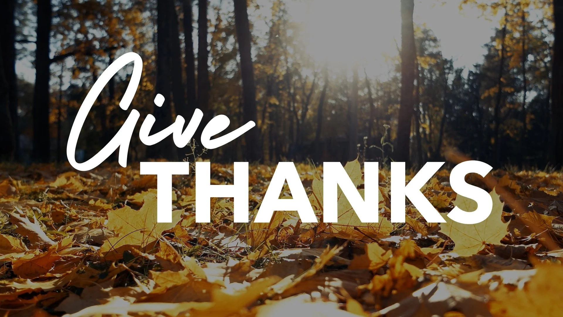 Give Thanks: The Father's Love