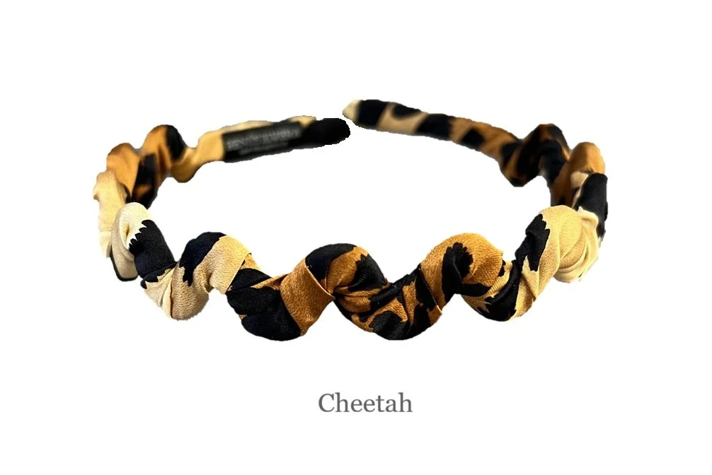 hbsz_cheetah.jpg